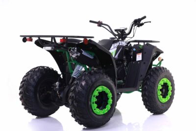 Commander 200cc EFI