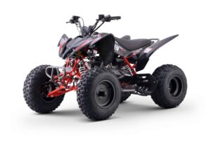 PENTORA 200 EFI – NEW