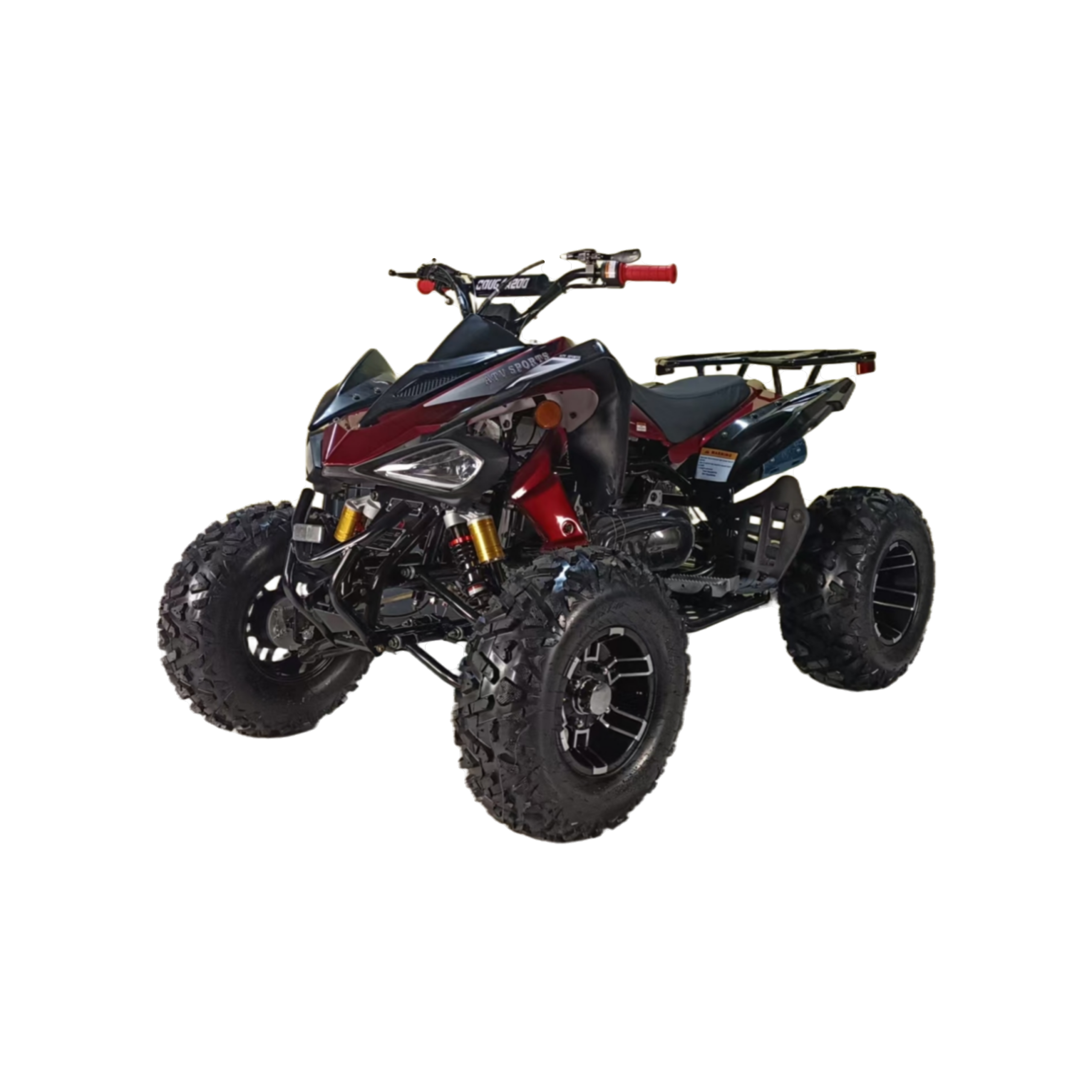 41_COUGAR-SPORT-200cc
